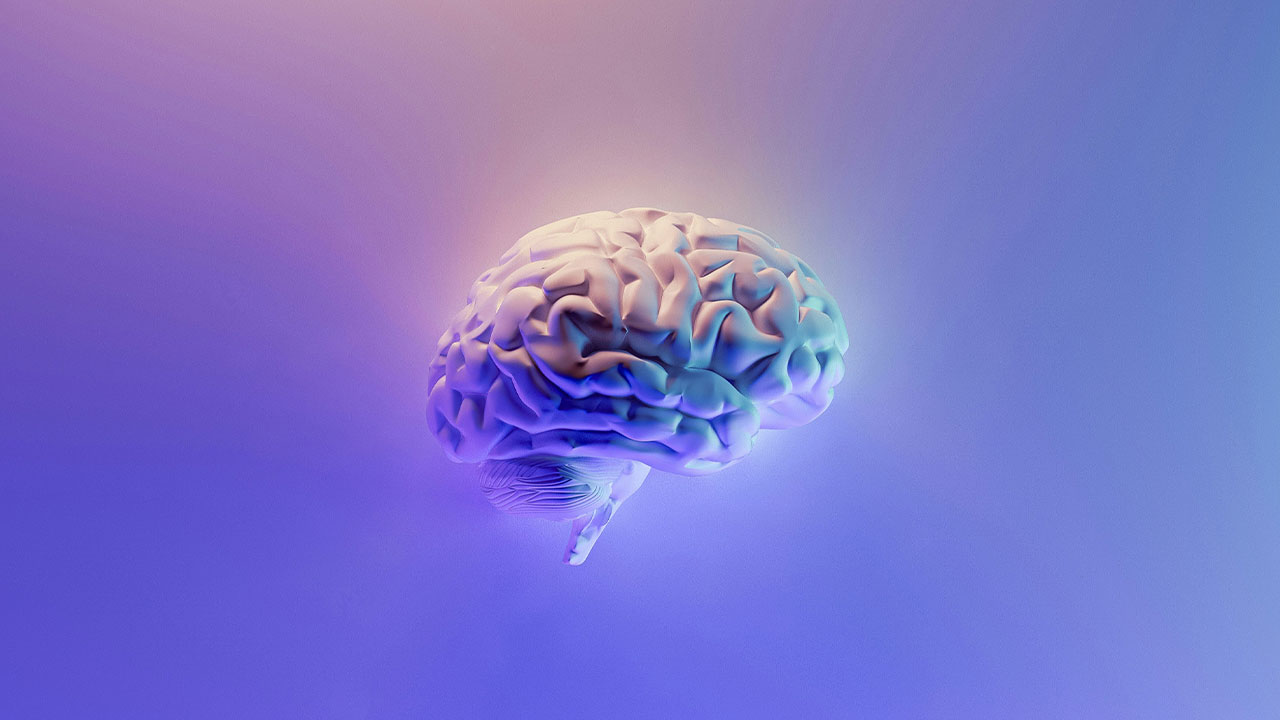 A 3D rendered illustration of a human brain against a purple gradient background.